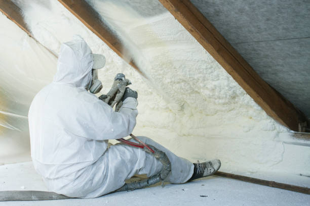 Professional Insulation Services in Amador Pines, CA